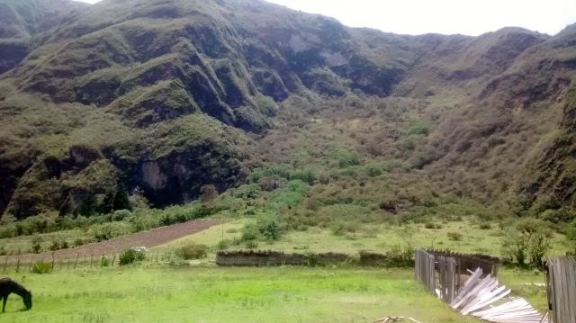 IMG_20141101_124951384